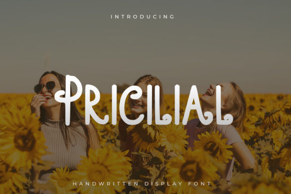Enhance Your Brand with Pricilial: A Versatile Display Font