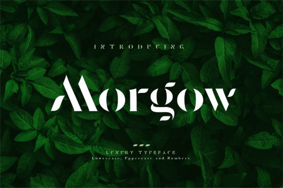 Enhance Your Web Design with Morgow Font